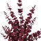 Vickerman 28" Burgundy Artificial Eucalyptus Glitter Spray 2 per bag.